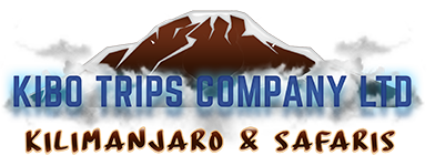 Kibo trips adventures logo small